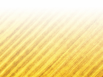 智能農(nóng)機(jī)、“訂單”服務(wù)、“云端”種菜——來自江西的春耕“新事”